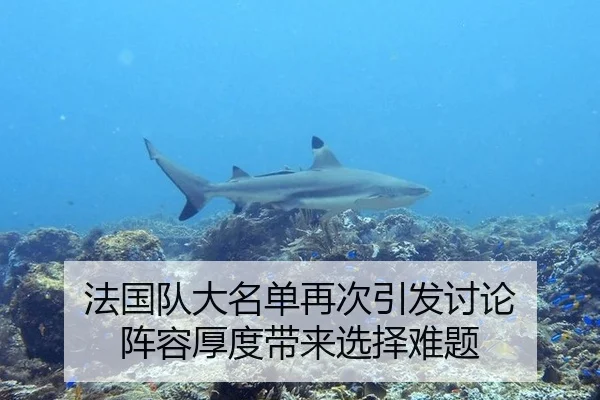 法国队大名单再次引发讨论 阵容厚度带来选择难题